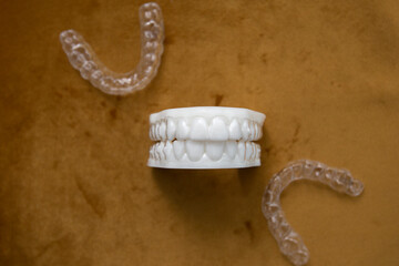 dental snow-white model of teeth, with aligners lying around it