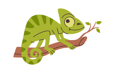 Chameleon iguana hand drawn reptile