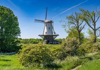 The historic windmill called The Cow (De Koe) in Veere, province of Zeeland, The Netherlands