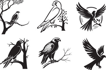 Three elegant black and white falcon silhouettes perched on branches