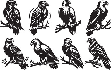 Collection of eight black and white eagle illustrations perched on branches