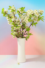 Still life with beautiful spring cherry blossom branches in vase on elegant background. Abstract flower arrangement and banner for screen,Floral holiday card with summer greeting concept