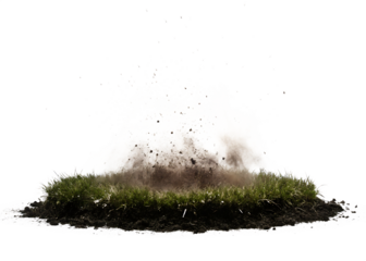  Grassy Yard Explosion explosion dynamic grass isolated on white background PNG
