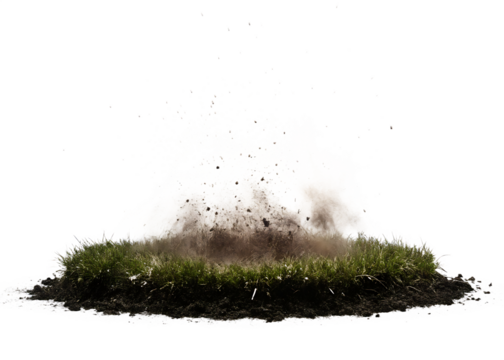  Grassy Yard Explosion explosion dynamic grass isolated on white background PNG