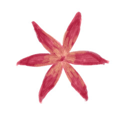 Cute hand-drawn crayon flower