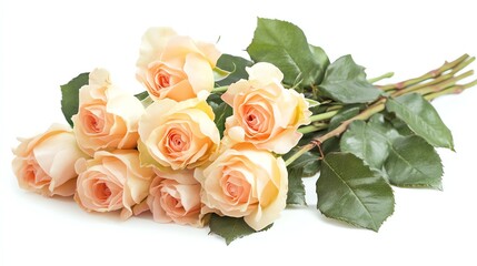 A vibrant, isolated bouquet of red roses is prominently displayed in the stock photo.