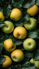 Fresh apples and leaves
