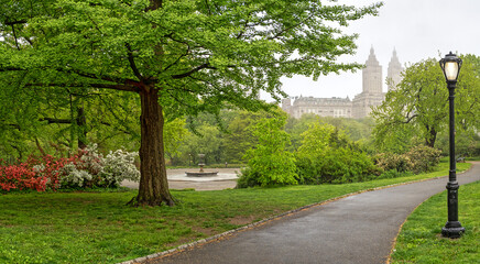 Central Park in spring, on foggy morning