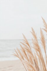 Dry grass stalks grow near a peaceful beach. Tan stems and seeds are shown against soft sand and calm ocean water.