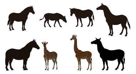 Obraz premium Equine Evolution: Silhouette Study