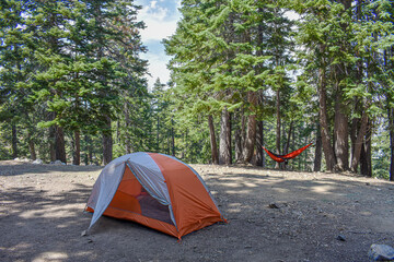 campsite set up in the forest