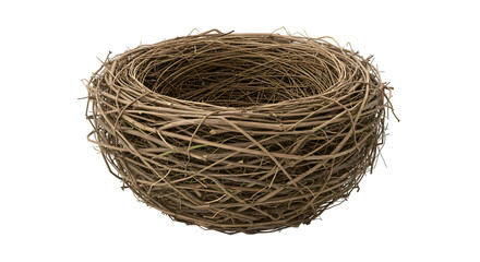Obraz premium empty bird nest isolated on white