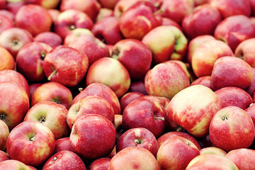 Rustic style, apples at farmers market, on counter or box. Seasonal business at summer and autumn. Many delicious fresh organic red fruits in farm, warehouse or store, outdoor, copy space, close up