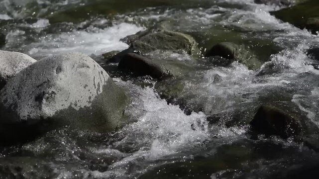 peru jungle amazonic wather  rver rock