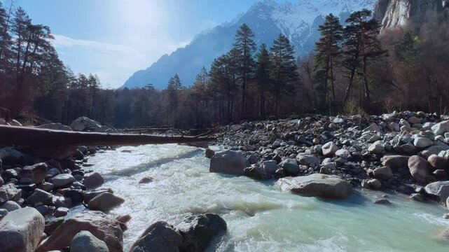 River in North Ossetia, Alania, Tseydon. Mountain river with green trees. Mountain landscape with river at sunrise. River against the background of snow-covered Caucasus mountains in Tseysky gorge.4К