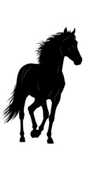 Obraz premium Midnight Pacer