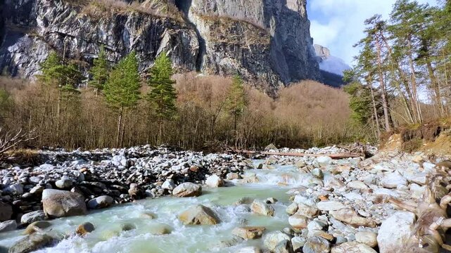 River in North Ossetia, Alania, Tseydon. Mountain river with green trees. Mountain landscape with river at sunrise. River against the background of snow-covered Caucasus mountains in Tseysky gorge.4К