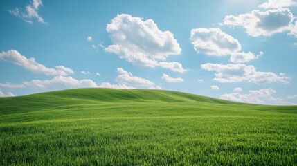 Lush Green Hills Under a Blue Sky with Fluffy White Clouds