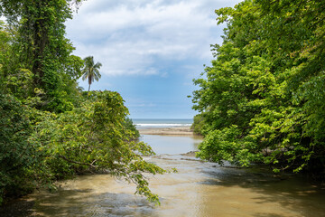 river leading to the ocean