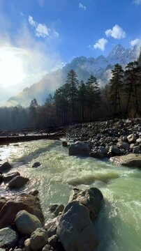 River in North Ossetia, Alania, Tseydon. Mountain river with green trees. Mountain landscape with river at sunrise. River against the background of snow-covered Caucasus mountains in Tseysky gorge.4К
