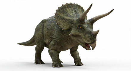 Fototapeta premium Realistic Triceratops with detailed horns and frill, on white background.