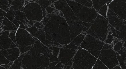 Black Marble Texture with White Veins