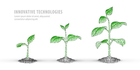 Plant growth digital vector illustration. Sprout future, agriculture technology.