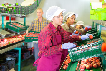 Three women working in sorting room. Man holding box full of peaches behind them.