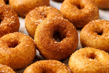 Mini cinnamon sugar donuts on baking paper.
