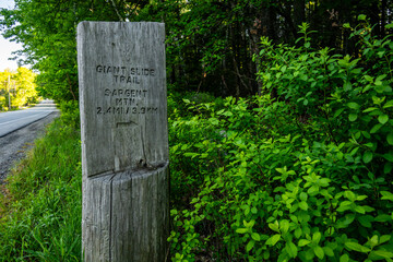 Giant Slide Trail Head Sign In Acadia