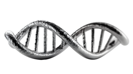 DNA Double Helix Structure in Metallic Silver Genetic Code Visualization Science and Biology