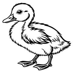 Fototapeta premium An adorable duckling stands proudly, captured in a clean and detailed sketch, showcasing its cute and fluffy features. This monochromatic illustration captures the essence of innocence and charm.