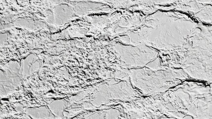 Fototapeta premium Abstract textured surface of gray stucco.