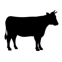 Silhouette of a Black Cow Standing Against a White Background, Profile View