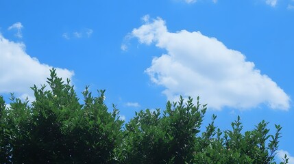 Obraz premium Vibrant Green Leaves Against a Blue Sky with Fluffy White Clouds