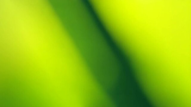 Blurred background of yellow and green. Suitable for abstract designs, nature themes, spring concepts, ecofriendly campaigns, and vibrant wallpapers.