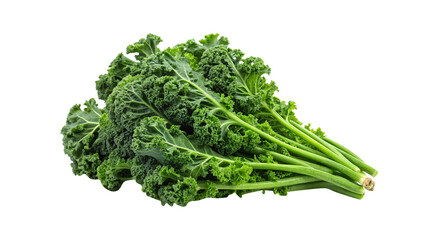 Beautiful fresh green curly kale leaves on a bright white background