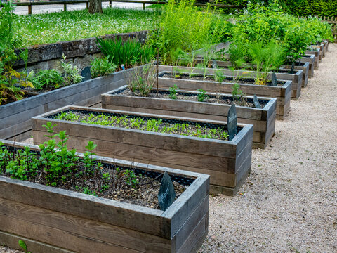 Kr&auml;utergarten mit K&uuml;chenkr&auml;utern