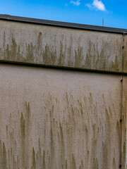 Feuchte und verschmutzte Hauswand