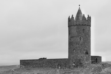 A castle tower is standing in a field