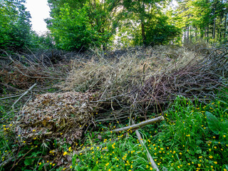 Grünabfälle im Frühjahr