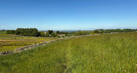 A wide expanse of lush, green grass stretches across the landscape, bordered by a stone wall, with distant trees and buildings under a clear blue sky on a late afternoon in Allerton, Bradford, UK