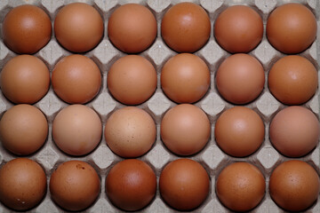 a cardboard egg tray container full with chicken eggs lay on gray color concrete background