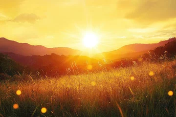 Fotobehang Golden sun setting over rolling hills with tall grasses glowing warmly in the fading light, creating a serene and peaceful natural landscape © hens