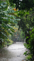 Heavy rain poured down and flooded the village streets.