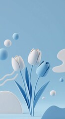 white tulip on blue background