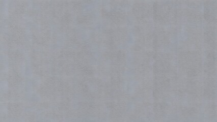 Fototapeta premium Light Gray Fine Texture Background with Subtle Speckles