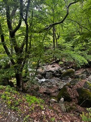 Obraz premium 자연