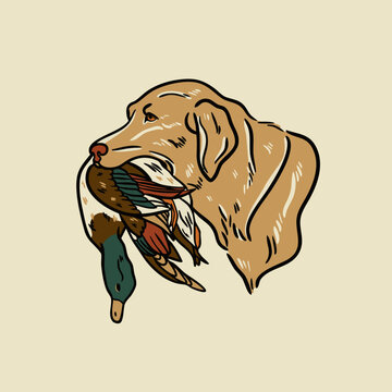 Hunting Dog illustration of a yellow laborador holding a drake mallard