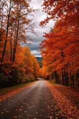 Obraz premium An outdoor view of a paved road surrounded by trees and leaves.